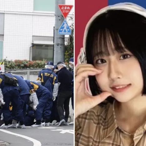 第227期:日本艺人在港猥亵被捕?石原里美二胎;人气博主直播中被刺身亡;日产CEO卸任 | 百通板 第227期:日本艺人在港猥亵被捕?石原里美二胎;人气博主直播中被刺身亡;日产CEO卸任 | 百通板