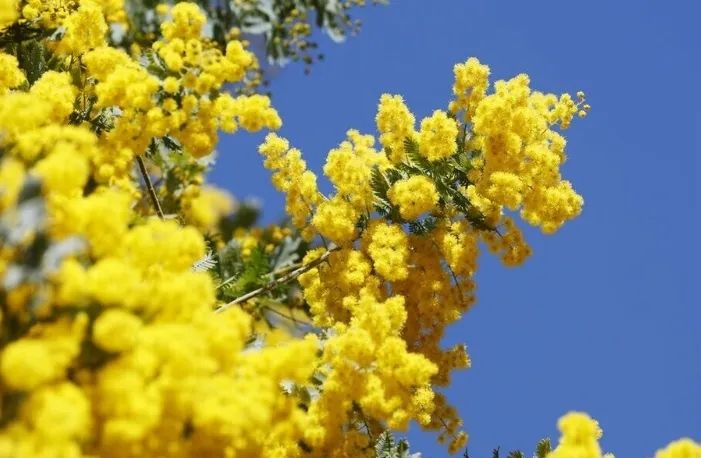 第227期:日本艺人在港猥亵被捕?石原里美二胎;人气博主直播中被刺身亡;日产CEO卸任 | 百通板 第227期:日本艺人在港猥亵被捕?石原里美二胎;人气博主直播中被刺身亡;日产CEO卸任 | 百通板