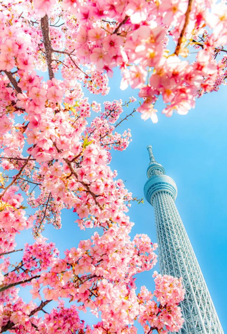 第227期:日本艺人在港猥亵被捕?石原里美二胎;人气博主直播中被刺身亡;日产CEO卸任 | 百通板 第227期:日本艺人在港猥亵被捕?石原里美二胎;人气博主直播中被刺身亡;日产CEO卸任 | 百通板