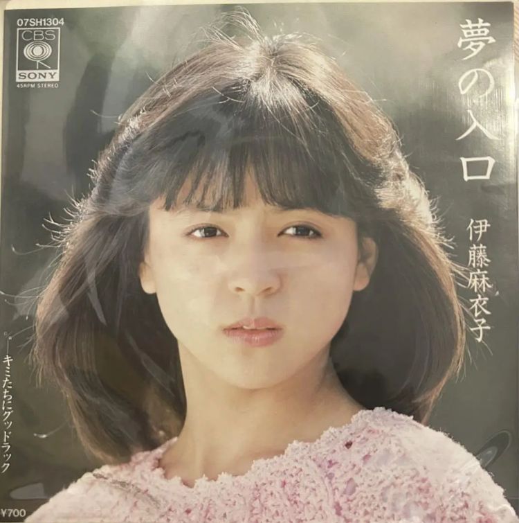 风靡日本的女偶像…在45岁考大学、60岁当教授!天生反骨的她靠一只狗彻底改变人生 风靡日本的女偶像…在45岁考大学、60岁当教授!天生反骨的她靠一只狗彻底改变人生