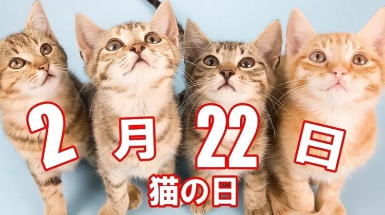 猫之日,萌宠变妖怪?猫为何化身妖异之物 猫之日,萌宠变妖怪?猫为何化身妖异之物