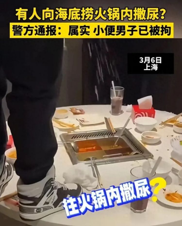 从寿司郎舔酱油瓶到海底捞撒尿,肇事者须付出代价,以震慑后来者 从寿司郎舔酱油瓶到海底捞撒尿,肇事者须付出代价,以震慑后来者