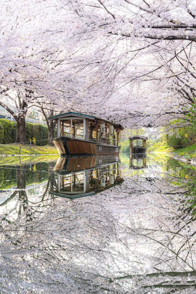 第228期:日本假警察肆虐 狂卷百亿日元;石原里美孕期出席日本奥斯卡;世博开幕在即门票滞销场馆烂尾?| 百通板 第228期:日本假警察肆虐 狂卷百亿日元;石原里美孕期出席日本奥斯卡;世博开幕在即门票滞销场馆烂尾?| 百通板