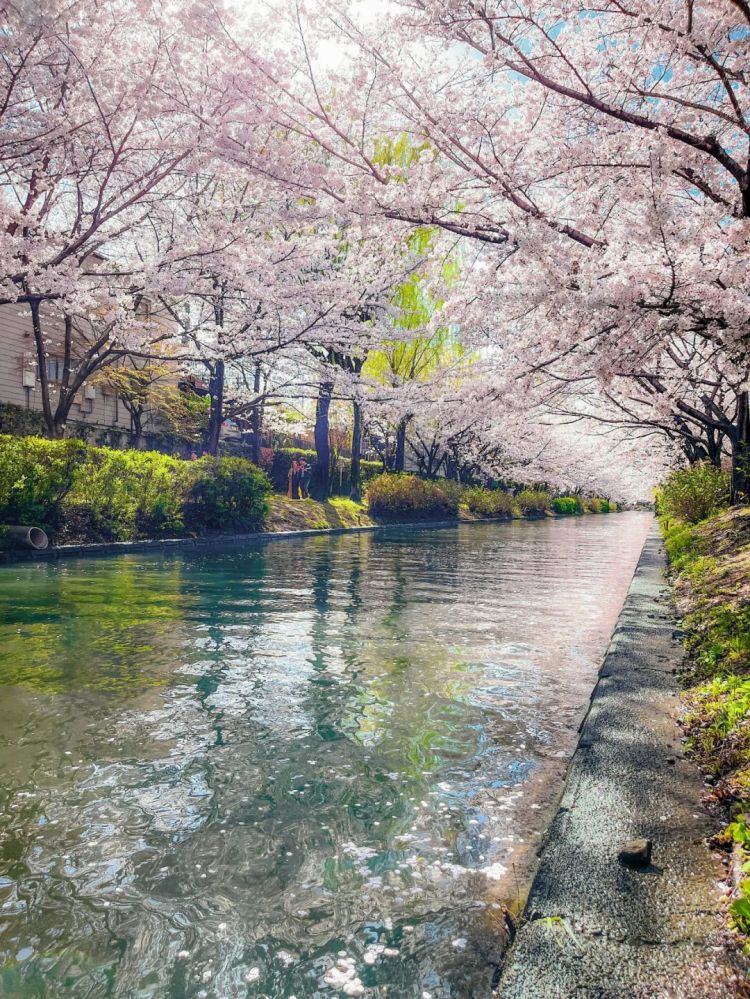 第228期:日本假警察肆虐 狂卷百亿日元;石原里美孕期出席日本奥斯卡;世博开幕在即门票滞销场馆烂尾?| 百通板 第228期:日本假警察肆虐 狂卷百亿日元;石原里美孕期出席日本奥斯卡;世博开幕在即门票滞销场馆烂尾?| 百通板