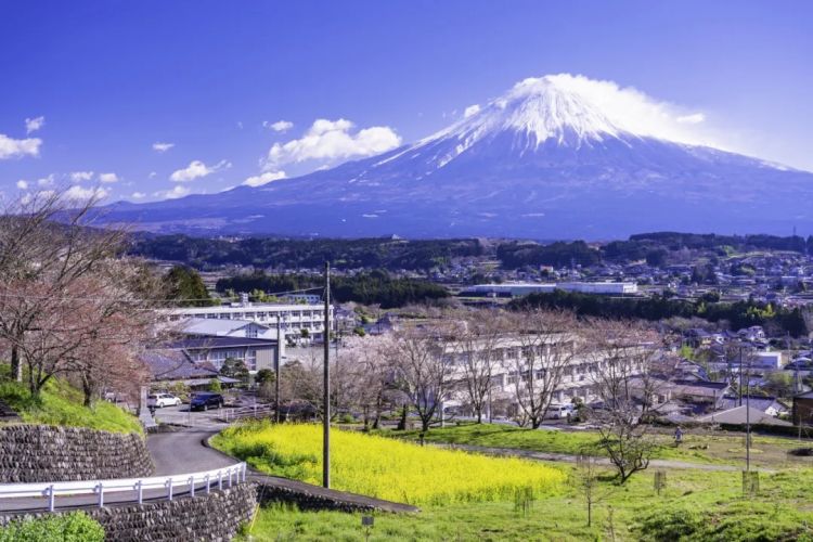 梦幻联动!樱花×富士山的绝美瞬间 梦幻联动!樱花×富士山的绝美瞬间