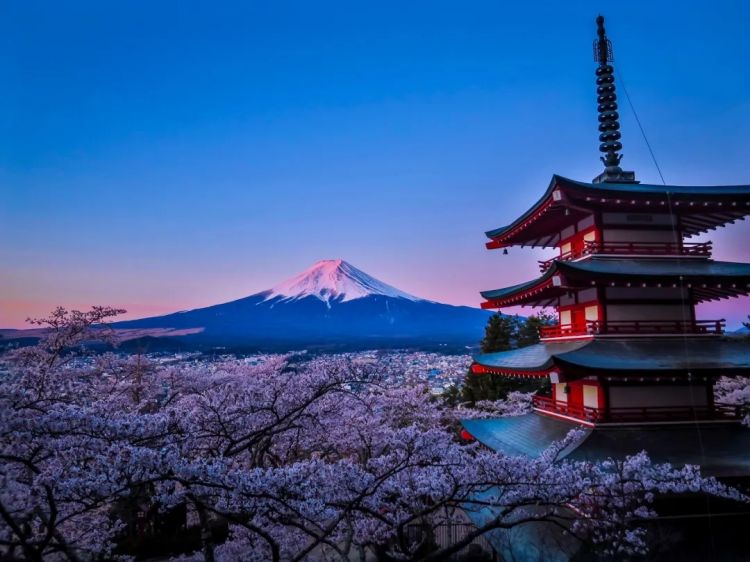 梦幻联动!樱花×富士山的绝美瞬间 梦幻联动!樱花×富士山的绝美瞬间