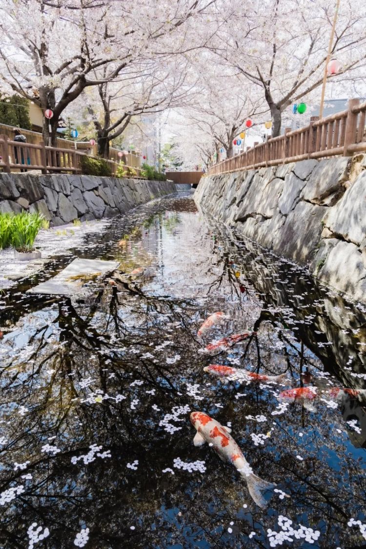 第228期:日本假警察肆虐 狂卷百亿日元;石原里美孕期出席日本奥斯卡;世博开幕在即门票滞销场馆烂尾?| 百通板 第228期:日本假警察肆虐 狂卷百亿日元;石原里美孕期出席日本奥斯卡;世博开幕在即门票滞销场馆烂尾?| 百通板