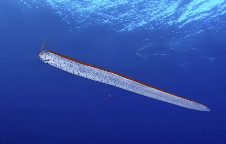 第228期:日本假警察肆虐 狂卷百亿日元;石原里美孕期出席日本奥斯卡;世博开幕在即门票滞销场馆烂尾?| 百通板 第228期:日本假警察肆虐 狂卷百亿日元;石原里美孕期出席日本奥斯卡;世博开幕在即门票滞销场馆烂尾?| 百通板