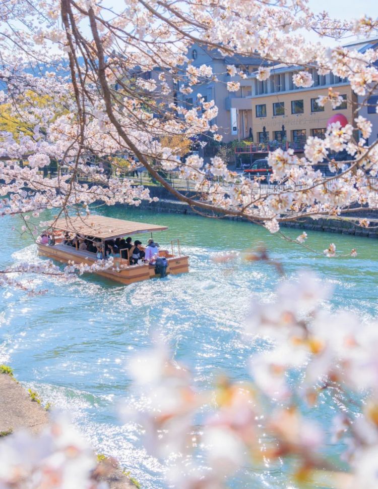 第228期:日本假警察肆虐 狂卷百亿日元;石原里美孕期出席日本奥斯卡;世博开幕在即门票滞销场馆烂尾?| 百通板 第228期:日本假警察肆虐 狂卷百亿日元;石原里美孕期出席日本奥斯卡;世博开幕在即门票滞销场馆烂尾?| 百通板