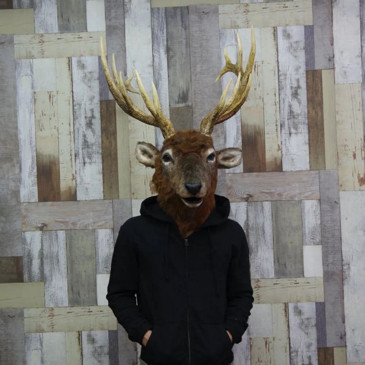 日本一艺术家制作逼真动物头套,网友:他们真的不当人了 日本一艺术家制作逼真动物头套,网友:他们真的不当人了