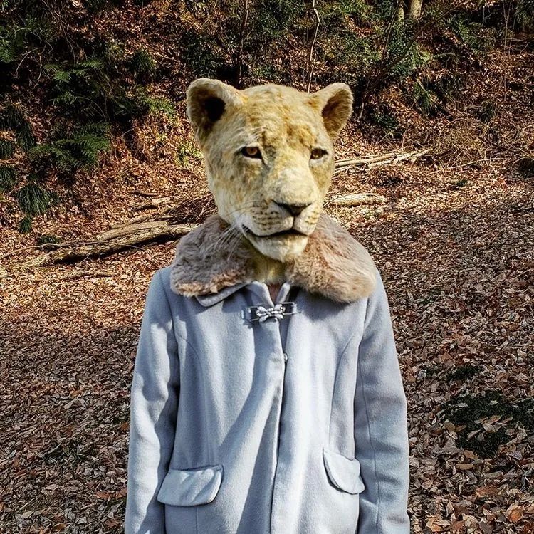 日本一艺术家制作逼真动物头套,网友:他们真的不当人了 日本一艺术家制作逼真动物头套,网友:他们真的不当人了