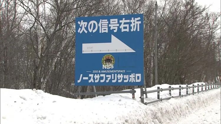 北海道网红动物园,爆火20年才被发现压根不合法!? 北海道网红动物园,爆火20年才被发现压根不合法!?
