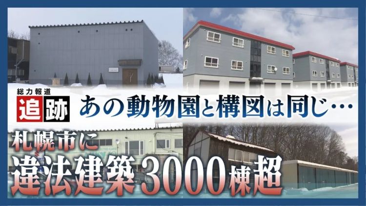 北海道网红动物园,爆火20年才被发现压根不合法!? 北海道网红动物园,爆火20年才被发现压根不合法!?