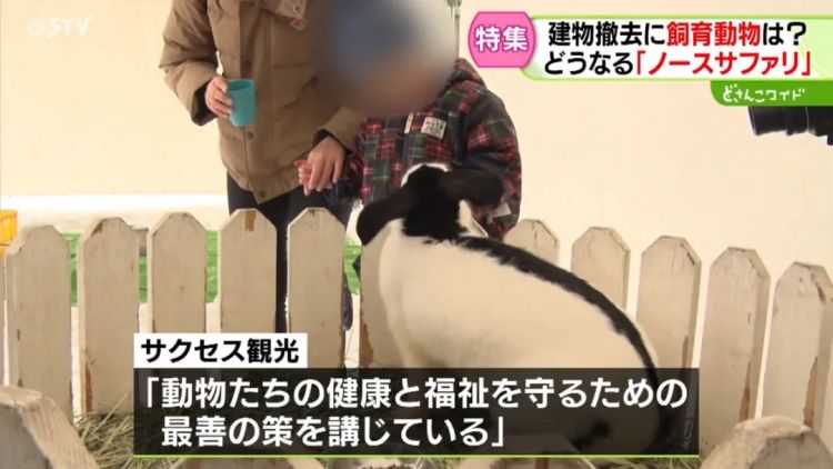 北海道网红动物园,爆火20年才被发现压根不合法!? 北海道网红动物园,爆火20年才被发现压根不合法!?