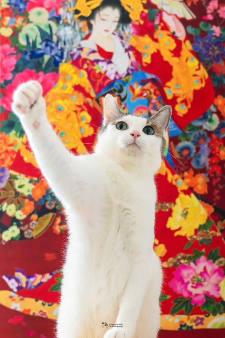 第229期:吉伊卡哇将停播;桥本环奈晨间收视垫底收官;广濑铃和山崎贤人被曝分手;又一邪教遭曝光?| 百通板 第229期:吉伊卡哇将停播;桥本环奈晨间收视垫底收官;广濑铃和山崎贤人被曝分手;又一邪教遭曝光?| 百通板