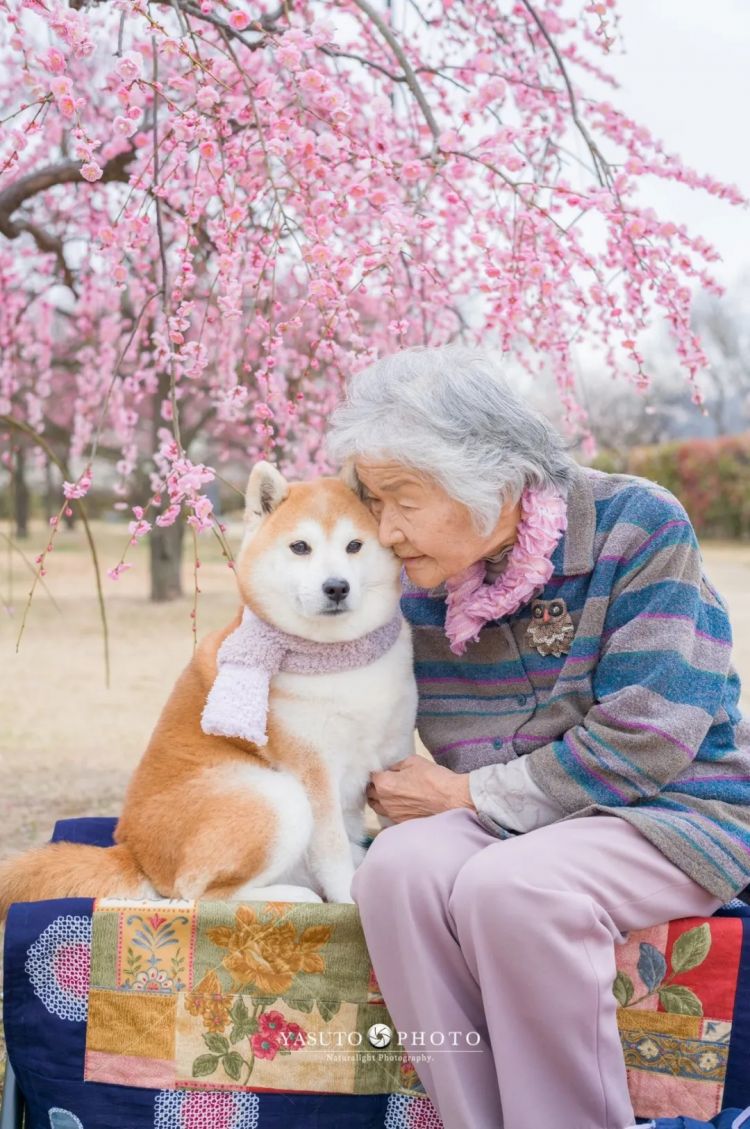 第229期:吉伊卡哇将停播;桥本环奈晨间收视垫底收官;广濑铃和山崎贤人被曝分手;又一邪教遭曝光?| 百通板 第229期:吉伊卡哇将停播;桥本环奈晨间收视垫底收官;广濑铃和山崎贤人被曝分手;又一邪教遭曝光?| 百通板