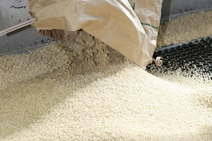 第229期:吉伊卡哇将停播;桥本环奈晨间收视垫底收官;广濑铃和山崎贤人被曝分手;又一邪教遭曝光?| 百通板 第229期:吉伊卡哇将停播;桥本环奈晨间收视垫底收官;广濑铃和山崎贤人被曝分手;又一邪教遭曝光?| 百通板