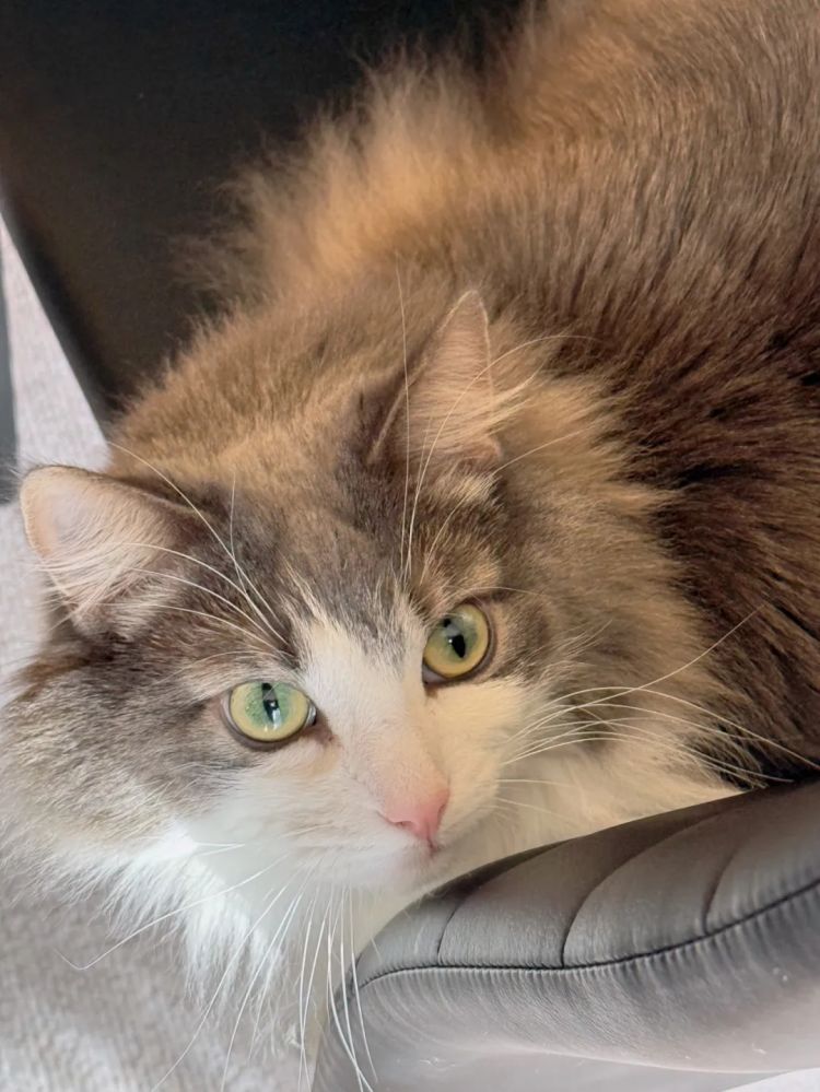 第229期:吉伊卡哇将停播;桥本环奈晨间收视垫底收官;广濑铃和山崎贤人被曝分手;又一邪教遭曝光?| 百通板 第229期:吉伊卡哇将停播;桥本环奈晨间收视垫底收官;广濑铃和山崎贤人被曝分手;又一邪教遭曝光?| 百通板