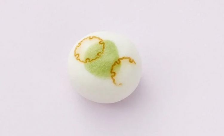 3000岁的日本饮食之花——和菓子 3000岁的日本饮食之花——和菓子