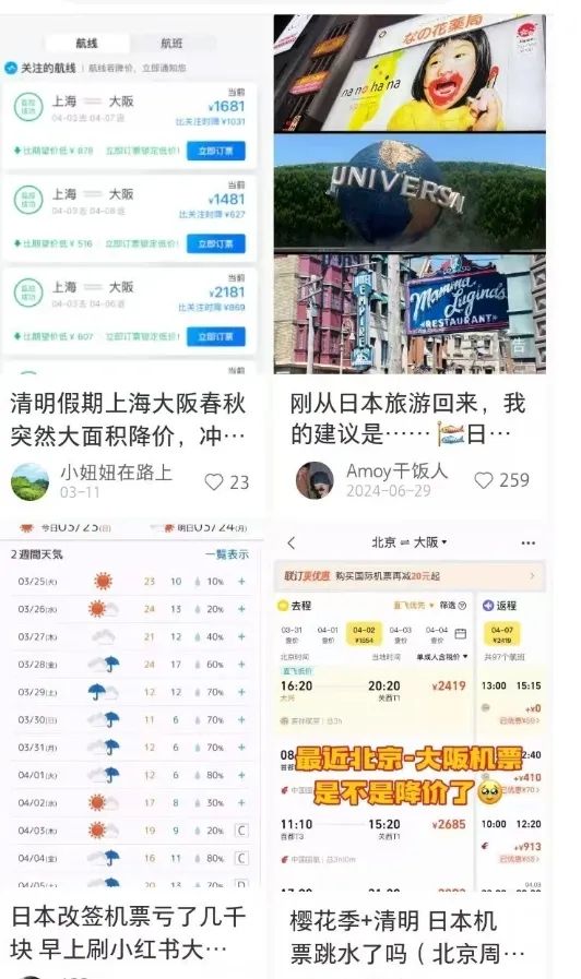 第一批中国“樱花难民”正在日本骂街 第一批中国“樱花难民”正在日本骂街