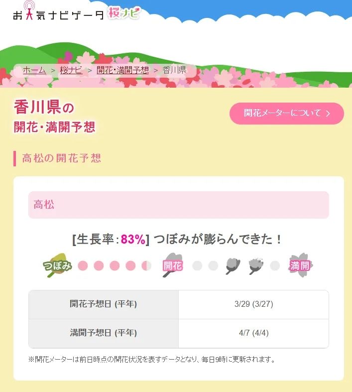 第一批中国“樱花难民”正在日本骂街 第一批中国“樱花难民”正在日本骂街