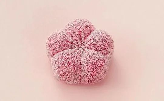 3000岁的日本饮食之花——和菓子 3000岁的日本饮食之花——和菓子