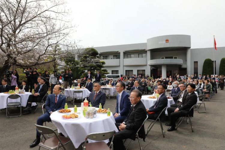 驻长崎总领事陈泳出席总领馆举办的纪念建馆40周年赏樱会暨总领事到任招待会 驻长崎总领事陈泳出席总领馆举办的纪念建馆40周年赏樱会暨总领事到任招待会