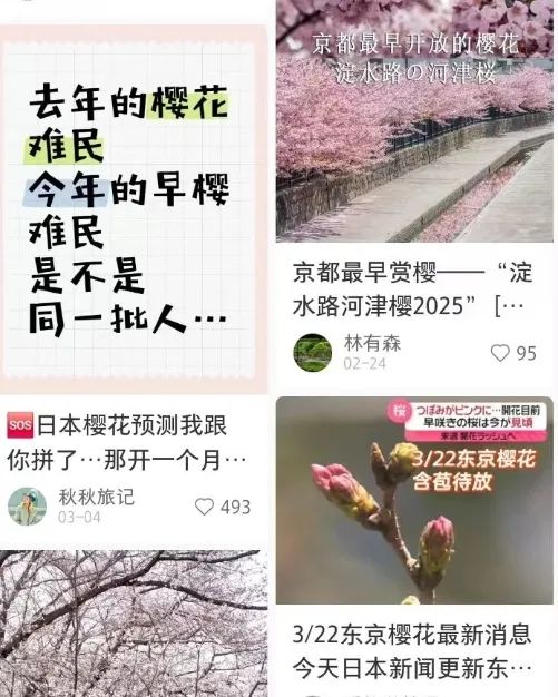 第一批中国“樱花难民”正在日本骂街 第一批中国“樱花难民”正在日本骂街