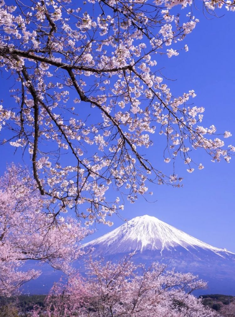 第230期:搞笑艺人节目公然骚扰知名女星?月曜翻车!承认恶剪中国女性采访;美国25%关税重创日系车企? | 百通板 第230期:搞笑艺人节目公然骚扰知名女星?月曜翻车!承认恶剪中国女性采访;美国25%关税重创日系车企? | 百通板