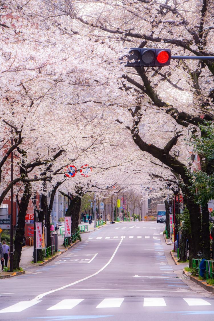 第230期:搞笑艺人节目公然骚扰知名女星?月曜翻车!承认恶剪中国女性采访;美国25%关税重创日系车企? | 百通板 第230期:搞笑艺人节目公然骚扰知名女星?月曜翻车!承认恶剪中国女性采访;美国25%关税重创日系车企? | 百通板