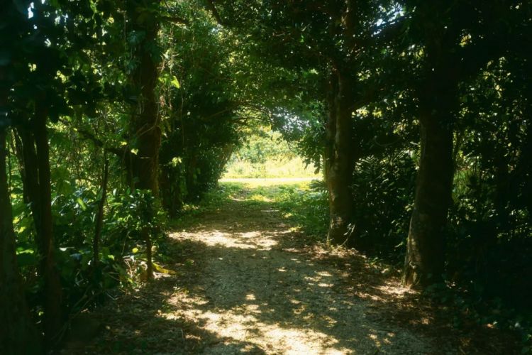 第230期:搞笑艺人节目公然骚扰知名女星?月曜翻车!承认恶剪中国女性采访;美国25%关税重创日系车企? | 百通板 第230期:搞笑艺人节目公然骚扰知名女星?月曜翻车!承认恶剪中国女性采访;美国25%关税重创日系车企? | 百通板