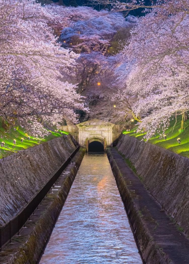 第230期:搞笑艺人节目公然骚扰知名女星?月曜翻车!承认恶剪中国女性采访;美国25%关税重创日系车企? | 百通板 第230期:搞笑艺人节目公然骚扰知名女星?月曜翻车!承认恶剪中国女性采访;美国25%关税重创日系车企? | 百通板