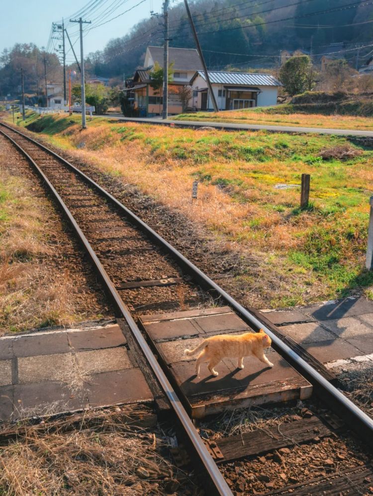第230期:搞笑艺人节目公然骚扰知名女星?月曜翻车!承认恶剪中国女性采访;美国25%关税重创日系车企? | 百通板 第230期:搞笑艺人节目公然骚扰知名女星?月曜翻车!承认恶剪中国女性采访;美国25%关税重创日系车企? | 百通板