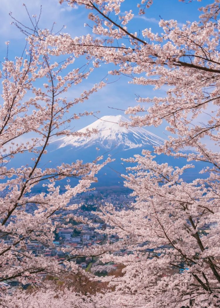 第230期:搞笑艺人节目公然骚扰知名女星?月曜翻车!承认恶剪中国女性采访;美国25%关税重创日系车企? | 百通板 第230期:搞笑艺人节目公然骚扰知名女星?月曜翻车!承认恶剪中国女性采访;美国25%关税重创日系车企? | 百通板
