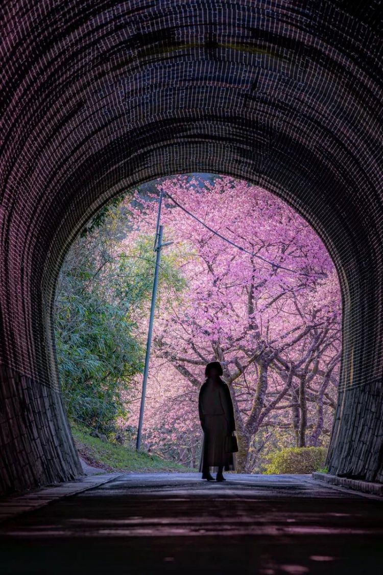 第230期:搞笑艺人节目公然骚扰知名女星?月曜翻车!承认恶剪中国女性采访;美国25%关税重创日系车企? | 百通板 第230期:搞笑艺人节目公然骚扰知名女星?月曜翻车!承认恶剪中国女性采访;美国25%关税重创日系车企? | 百通板