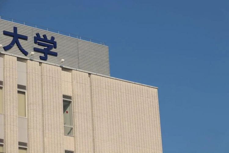 日本大学教小学计算,把财务省整破防了 日本大学教小学计算,把财务省整破防了