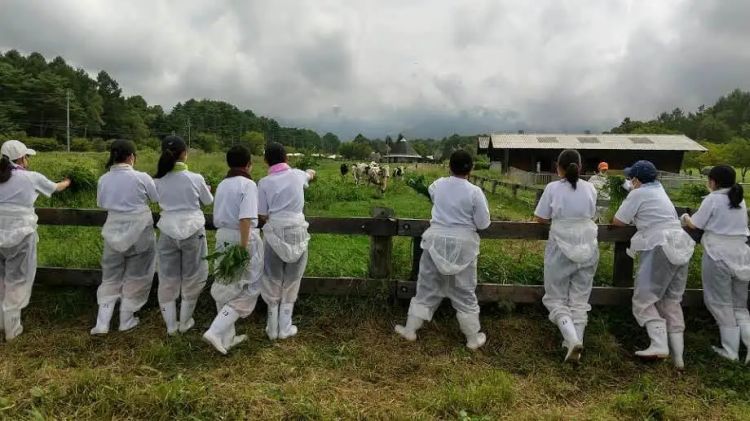 日本大学教小学计算,把财务省整破防了 日本大学教小学计算,把财务省整破防了