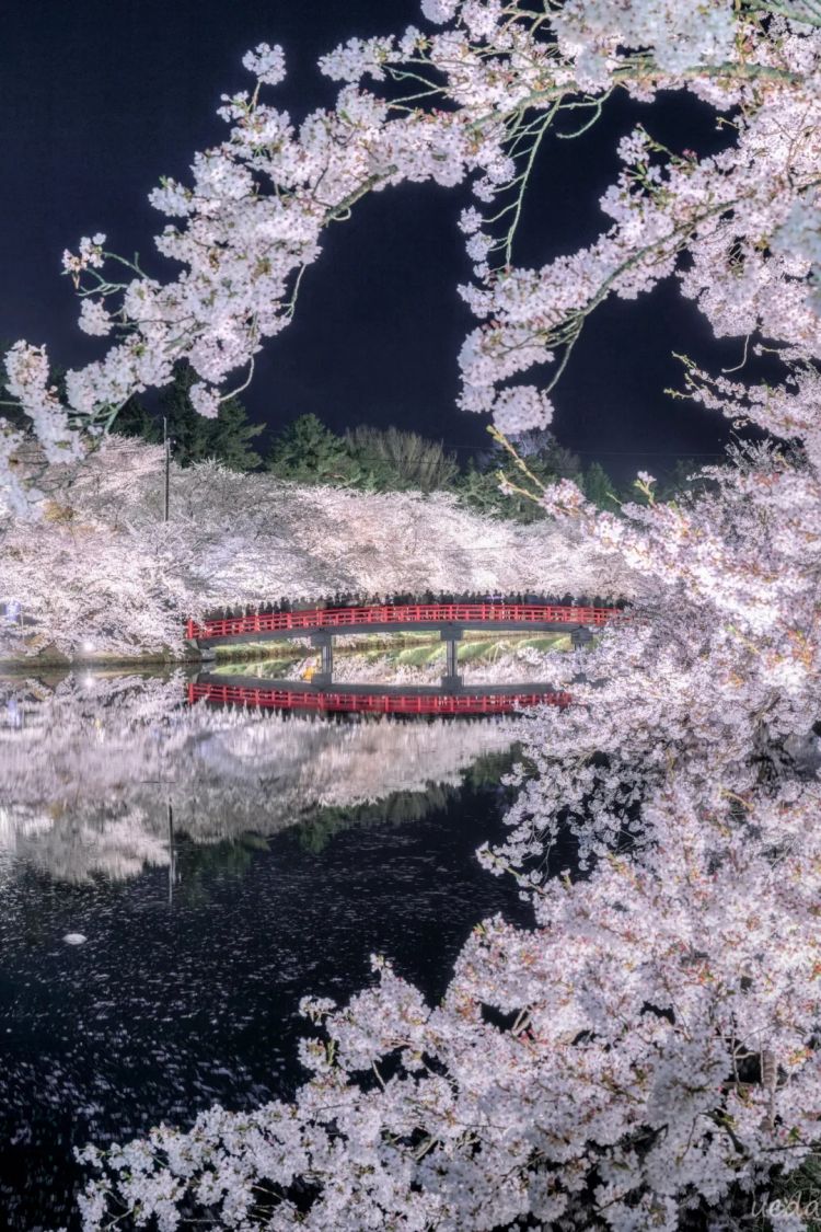 第233期：永野芽郁与田中圭不伦脚踏两条船？日本多地爆发杀人恶性事件？大阪世博保安向游客下跪？ | 百通板