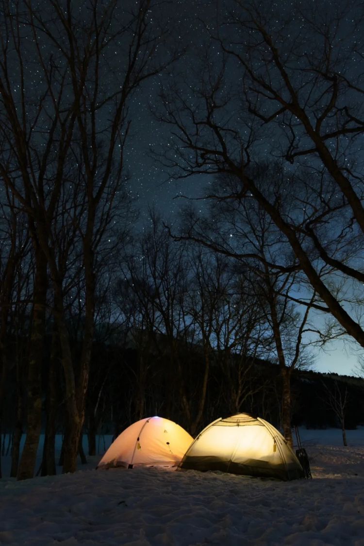 第233期：永野芽郁与田中圭不伦脚踏两条船？日本多地爆发杀人恶性事件？大阪世博保安向游客下跪？ | 百通板