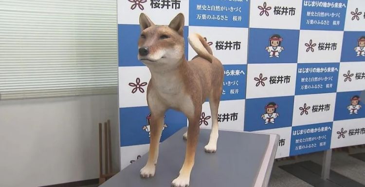 第233期：永野芽郁与田中圭不伦脚踏两条船？日本多地爆发杀人恶性事件？大阪世博保安向游客下跪？ | 百通板