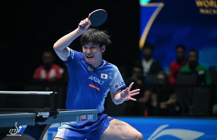 第233期：永野芽郁与田中圭不伦脚踏两条船？日本多地爆发杀人恶性事件？大阪世博保安向游客下跪？ | 百通板