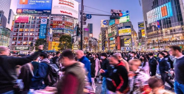 第233期：永野芽郁与田中圭不伦脚踏两条船？日本多地爆发杀人恶性事件？大阪世博保安向游客下跪？ | 百通板