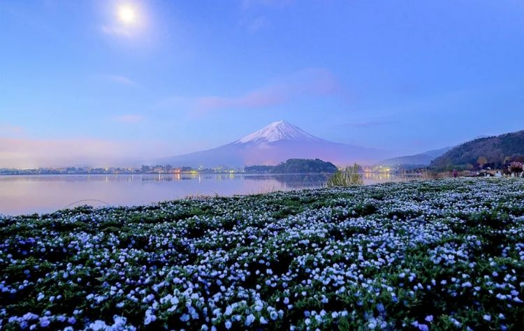 第233期：永野芽郁与田中圭不伦脚踏两条船？日本多地爆发杀人恶性事件？大阪世博保安向游客下跪？ | 百通板