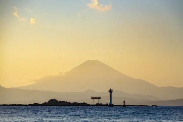 东北、中部2场王炸花火，关东8场！为了避免重现去年“惨剧”，东京足立花火大会提前到了5月！