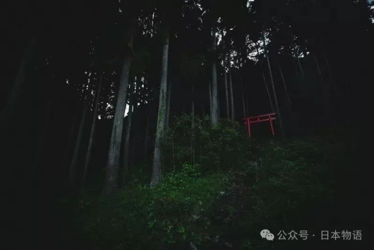 日本网友分享令人毛骨悚然鸟居的照片，感觉一旦走进去就回不来了