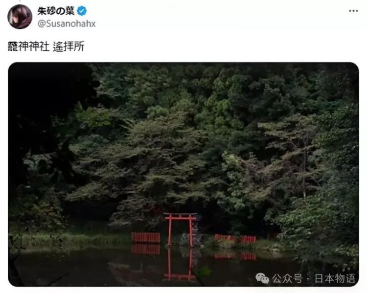 日本网友分享令人毛骨悚然鸟居的照片，感觉一旦走进去就回不来了