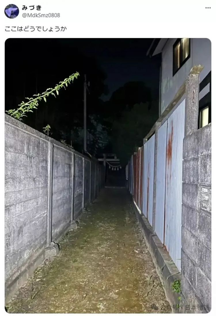 日本网友分享令人毛骨悚然鸟居的照片，感觉一旦走进去就回不来了