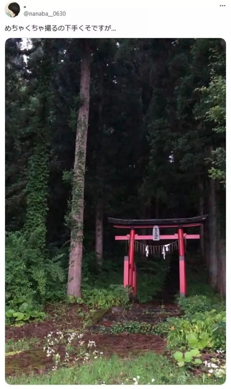 日本网友分享令人毛骨悚然鸟居的照片，感觉一旦走进去就回不来了
