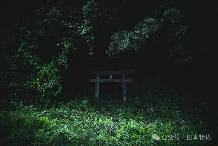 日本网友分享令人毛骨悚然鸟居的照片，感觉一旦走进去就回不来了