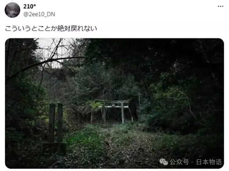 日本网友分享令人毛骨悚然鸟居的照片，感觉一旦走进去就回不来了